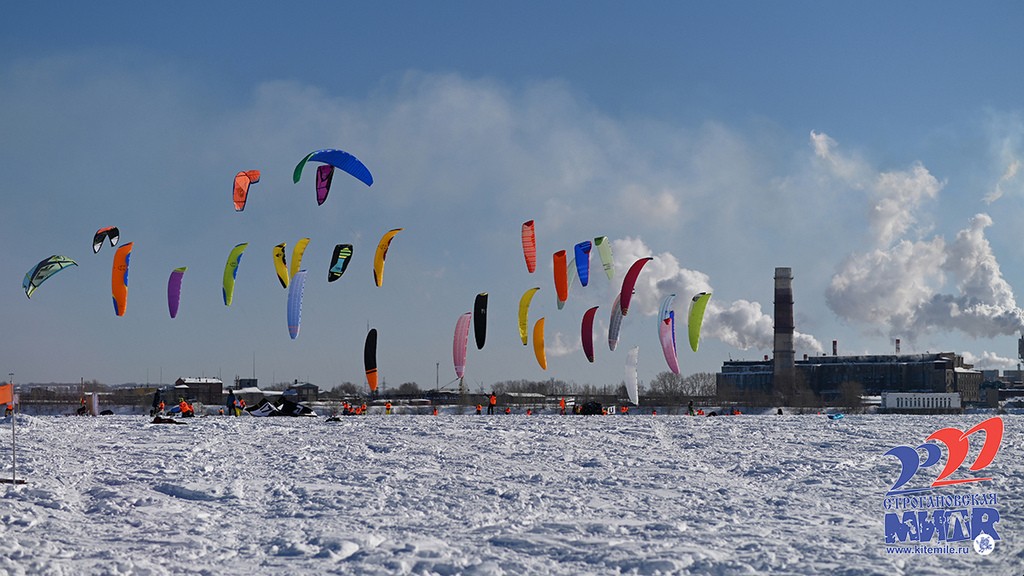 Четыре награды на четверых