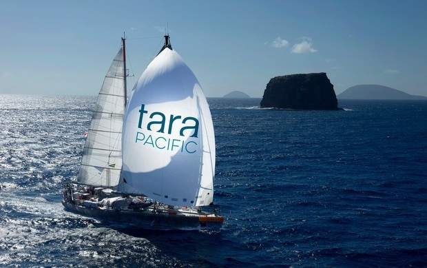 Бывшая яхта Питера Блейка Tara ограблена