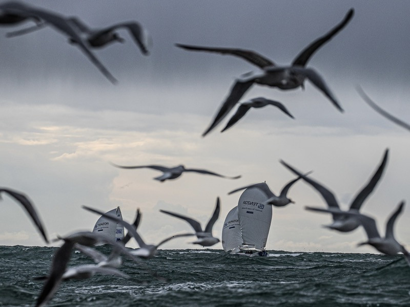 Парус – это высокое искусство! Фото…