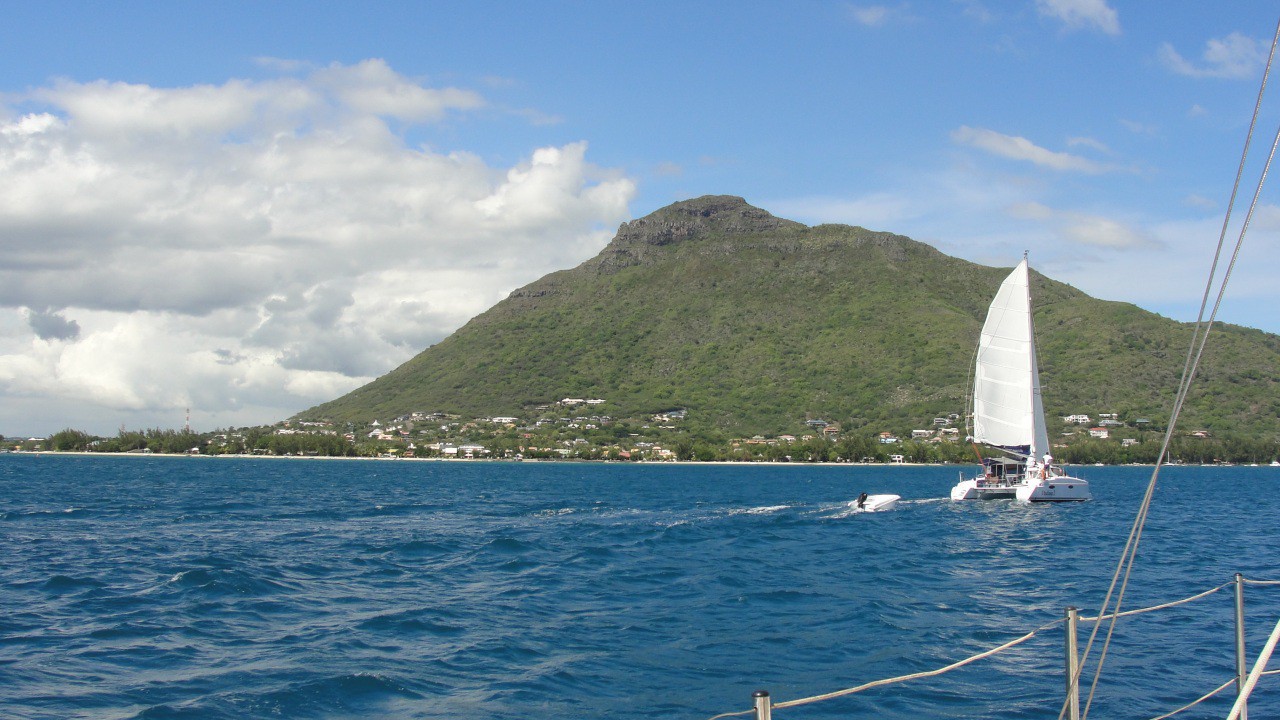 Маврикийская лепота