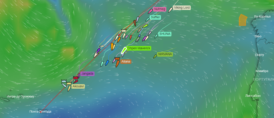 Болеем за Марка и Сюзи!