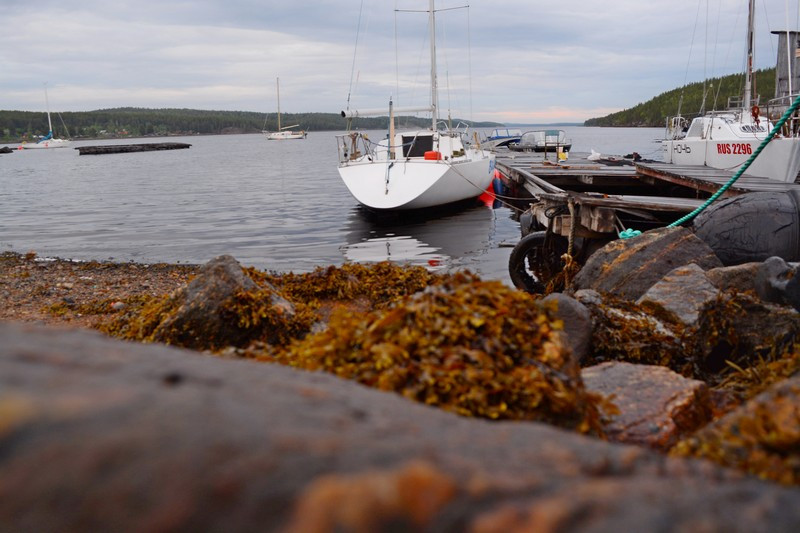 Притяжение Белого моря