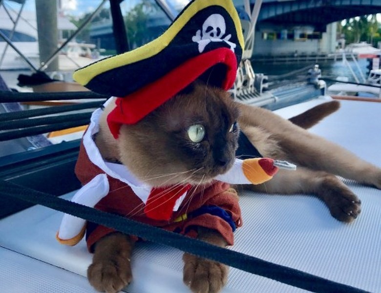 Знакомьтесь, это Мисс Ригби!