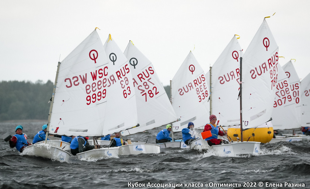 Определились победители
