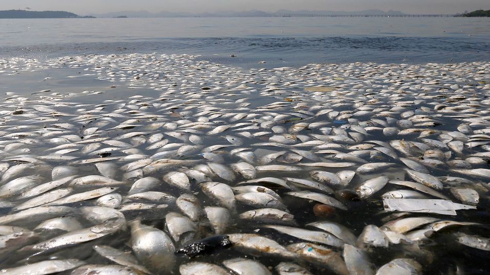 А воз и ныне там