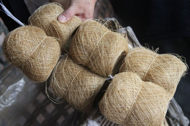 Паруса из крапивы. Концы тоже