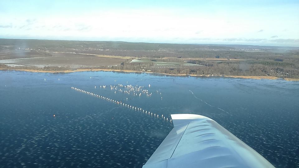 Соревнуются буеристы