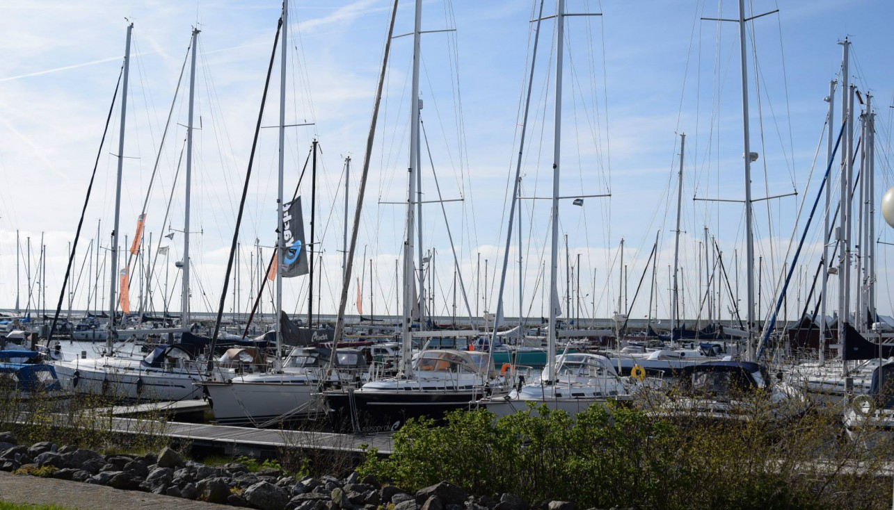 В Голландии открыли двери