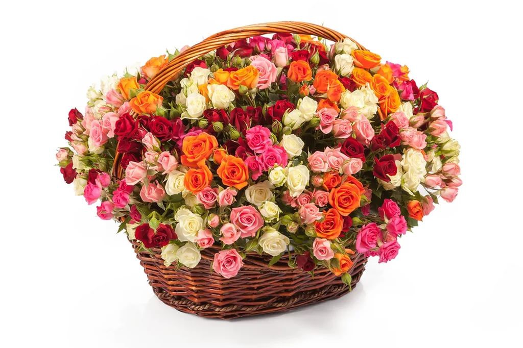 У российского паруса - женское лицо