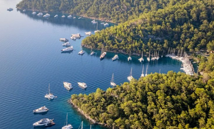 Цвет турецкой неожиданности…