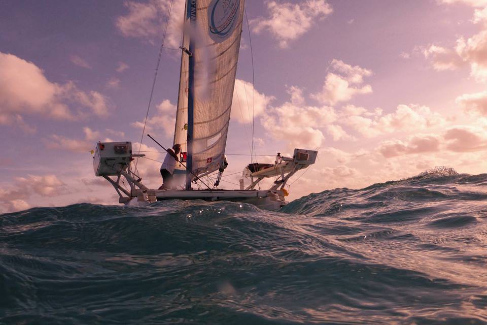 Иван дошел до Африки