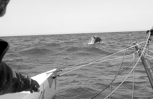 Ивану осталось четыре дня