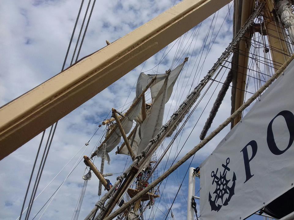 Очередная победа «Акелы»