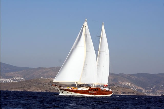 Турция нам поможет