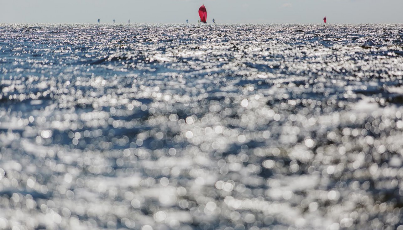 «Кубок Усть-Луги-2015». Итоги