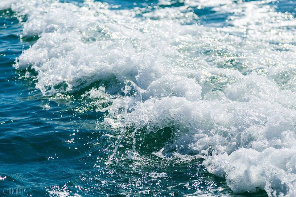 Оставили за бортом