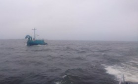 В Финляндию из России приплыл Змей Горыныч