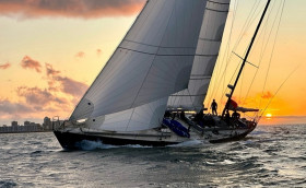 Оказалось, морские львы кусаются!