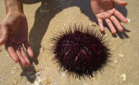 Уколоться и… не забыться