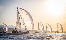 PTICHKI в полете!