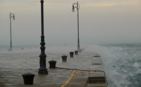 Когда родилась бора