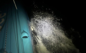 Vendеe Globe. С подбитым крылом