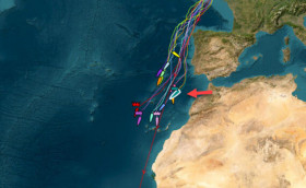 Рагене доставили в больницу