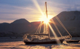 Белое безмолвие Тревора Робертсона