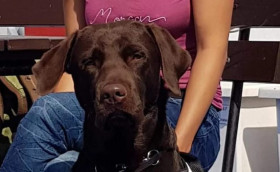 Дважды спасенный