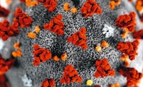 Что пишут в Германии?