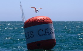 Погоня за Логиновым