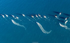 «Таватуй»  сложил полномочия