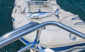 Акула в лодке