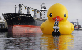 Дальний утиный заплыв