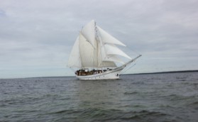 Позавидуем петербуржцам