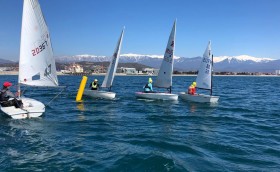 Соленые сборы