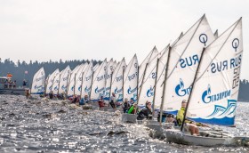 Борьба - как у взрослых!