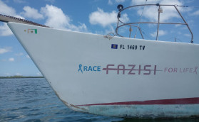 Fazisi: шанс на новую жизнь