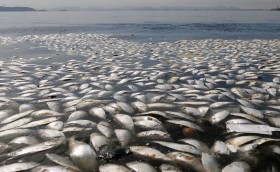 А воз и ныне там