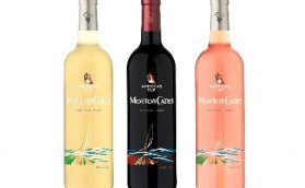 В честь Кубка «Америки»