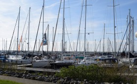 В Голландии открыли двери