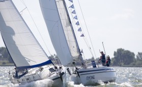 За кубок Contest yachts