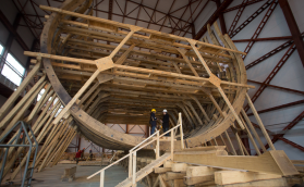 Лучшее дерево для корабля