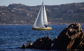 Первая гонка – успех!