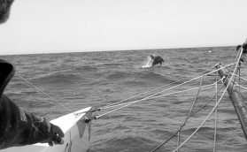 Ивану осталось четыре дня