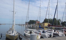 Парус - вне политики