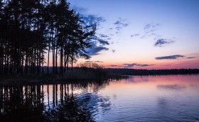 Добро пожаловать на регату "Паруса Мечты"!