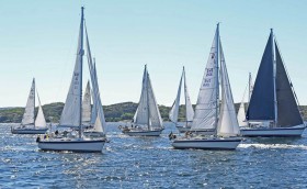 Регата без проигравших