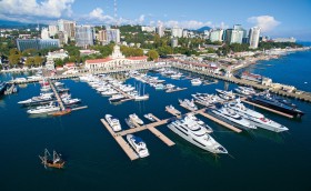 Кедры для марины