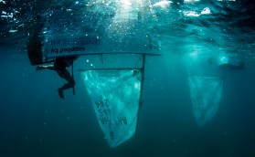 Неожиданный ракурс, не правда ли?